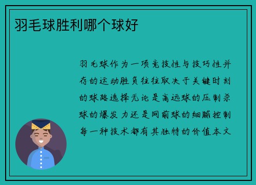 羽毛球胜利哪个球好